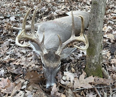 Turn-key hunting camp west of Como! This 177 contiguous acre - photo 6
