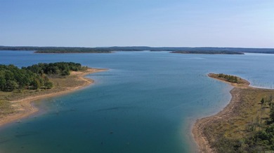 Your dream lakefront escape awaits! This fully furnished - photo 38