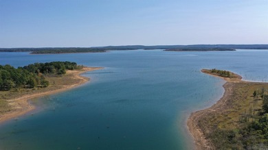 Your dream lakefront escape awaits! This fully furnished - photo 41