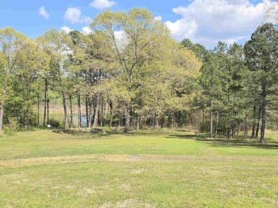 Your dream lakefront escape awaits! This fully furnished - photo 45