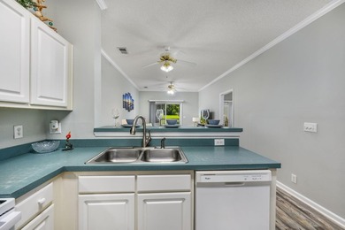 Move-In Ready First-Floor Condo in Harbourfront Villas - Golf - photo 11