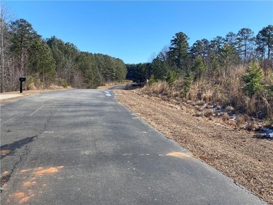 Build your dream home on this beautiful 0.39-acre waterfront lot - photo 13