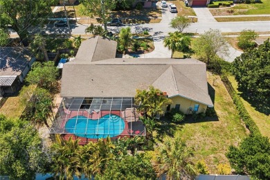 Lake Home Sale Pending in Seffner, Florida