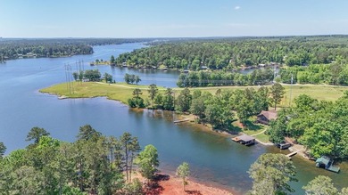 Located in the desirable Island Creek area of Lake Sinclair, 262 - photo 36