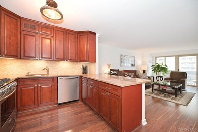Welcome to 18-15 215th Street, Apartment #9J, a beautifully - photo 9