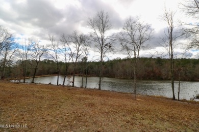 (private lake, pond, creek) Acreage For Sale in Little Rock Mississippi