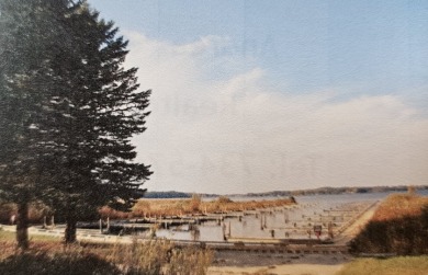 Property to build your home with the best view of Vineyard Lake - photo 7