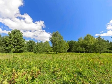 Lake Acreage For Sale in Colfax Twp, Michigan