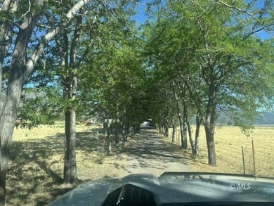 142 Co. Rd. 147 Cedarville, Ca. Escape to the beauty and - photo 15