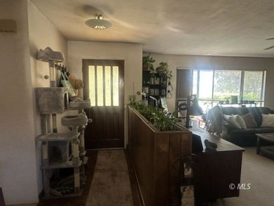 142 Co. Rd. 147 Cedarville, Ca. Escape to the beauty and - photo 20