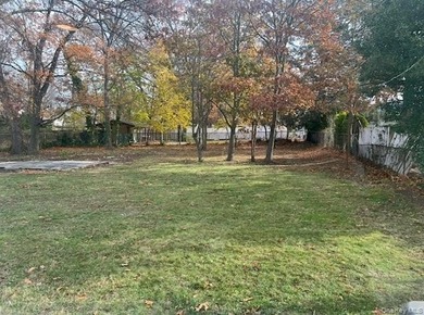 This is your chance to secure a rare 50 x 112.5 (5600 sqft) lot - photo 1