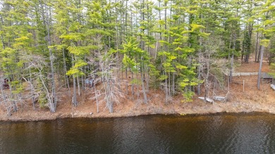 Nestled on the shores of scenic Papoose Pond in Waterford, Maine - photo 8