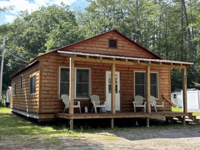 (private lake, pond, creek) Home For Sale in Albany Twp Maine