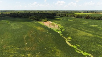 The Birdie 70: Farm & Hunt Investment Discover a rare 70-acre - photo 4