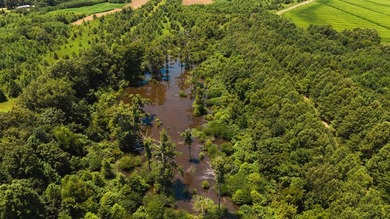 The Birdie 70: Farm & Hunt Investment Discover a rare 70-acre - photo 6