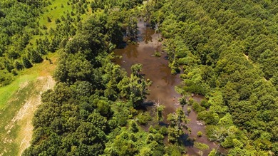 The Birdie 70: Farm & Hunt Investment Discover a rare 70-acre - photo 8
