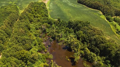 The Birdie 70: Farm & Hunt Investment Discover a rare 70-acre - photo 10