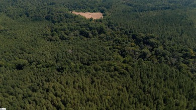 Welcome to 175 acres of beautiful, primarily wooded land located - photo 3