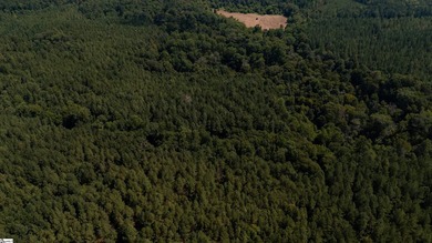 Welcome to 175 acres of beautiful, primarily wooded land located - photo 4