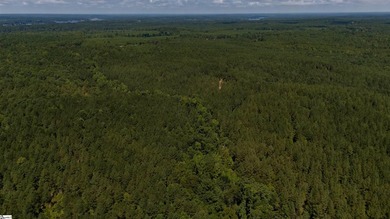 Welcome to 175 acres of beautiful, primarily wooded land located - photo 5