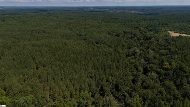 Welcome to 175 acres of beautiful, primarily wooded land located - photo 6