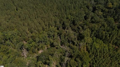 Welcome to 175 acres of beautiful, primarily wooded land located - photo 7