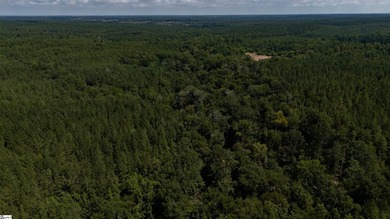 Welcome to 175 acres of beautiful, primarily wooded land located - photo 8