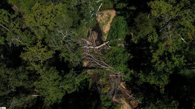 Welcome to 175 acres of beautiful, primarily wooded land located - photo 9