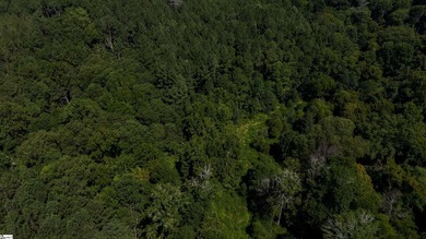 Welcome to 175 acres of beautiful, primarily wooded land located - photo 10