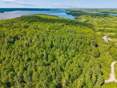 Entire 12.9 parcel - MLS #1667771, 2 acre parcel - MLS # 1667773 - photo 2