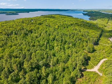 Entire 12.9 parcel - MLS #1667771, 2 acre parcel - MLS # 1667773 - photo 3