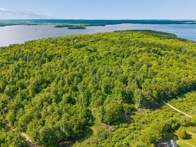 Entire 12.9 parcel - MLS #1667771, 2 acre parcel - MLS # 1667773 - photo 4
