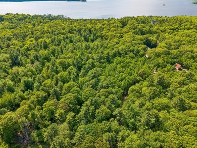 Entire 12.9 parcel - MLS #1667771, 2 acre parcel - MLS # 1667773 - photo 6