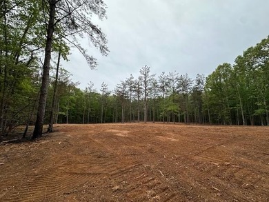 APPROX 70 ACRES OF LAFAYETTE COUNTY MS LAND JOINING THE HOLLY - photo 1