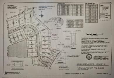 Property to build your home with the best view of Vineyard Lake - photo 1