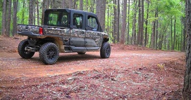 APPROX 70 ACRES OF LAFAYETTE COUNTY MS LAND JOINING THE HOLLY - photo 3