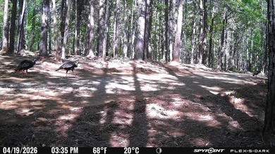 APPROX 70 ACRES OF LAFAYETTE COUNTY MS LAND JOINING THE HOLLY - photo 4