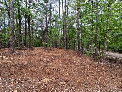 APPROX 70 ACRES OF LAFAYETTE COUNTY MS LAND JOINING THE HOLLY - photo 6