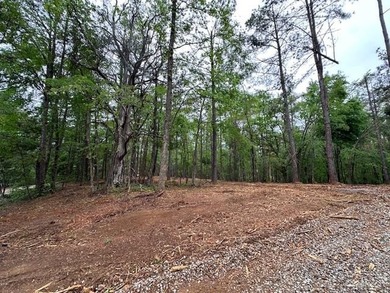 APPROX 70 ACRES OF LAFAYETTE COUNTY MS LAND JOINING THE HOLLY - photo 7