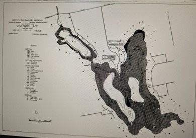 Property to build your home with the best view of Vineyard Lake - photo 9