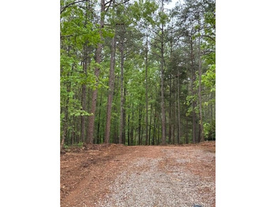 APPROX 70 ACRES OF LAFAYETTE COUNTY MS LAND JOINING THE HOLLY - photo 9