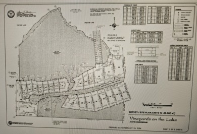 Property to build your home with the best view of Vineyard Lake - photo 4