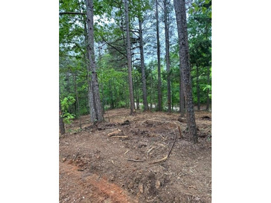 APPROX 70 ACRES OF LAFAYETTE COUNTY MS LAND JOINING THE HOLLY - photo 10
