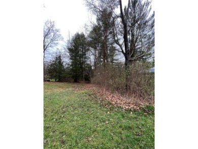 Lake Lot For Sale in Union City, Pennsylvania