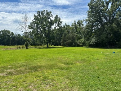 This Beautiful Propety is ready for the new owner. Small pond - photo 5