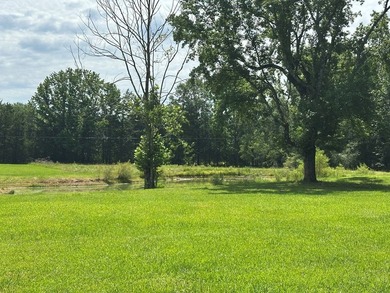 This Beautiful Propety is ready for the new owner. Small pond - photo 6