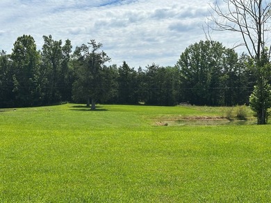 This Beautiful Propety is ready for the new owner. Small pond - photo 7