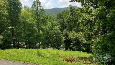 Lake Lure Lot For Sale in Lake Lure North Carolina