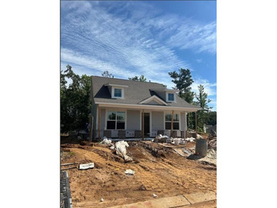 Popular Willow D plan with an open floor plan & a main level - photo 2