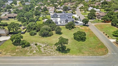 New opportunities await in the highly desirable Fair Oaks Ranch - photo 7